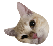 624578364
