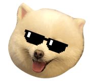 624603916