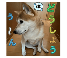 624614788