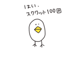 62462838