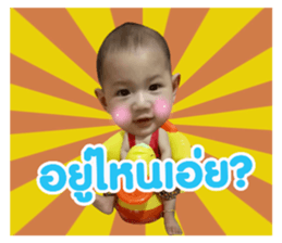 62466636