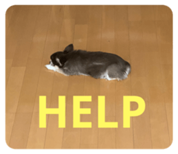 624754679