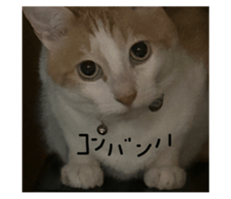 624757701