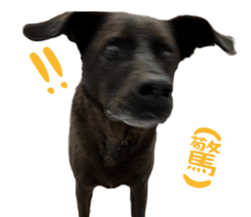 624764583