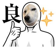 624768664