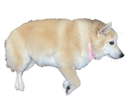 624768669