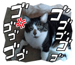 624775305