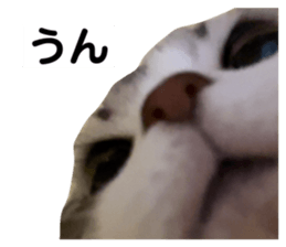 624792316