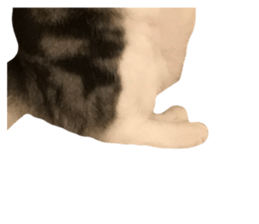 624792337
