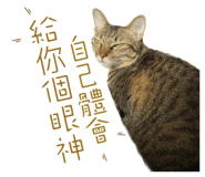 624796576