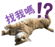 624796581