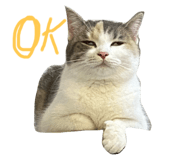 624798554