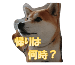 624831021