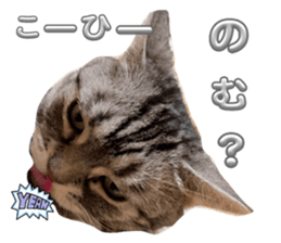 624873171
