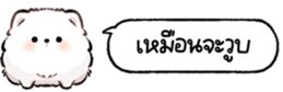 624883489
