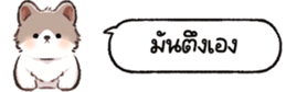 624883500
