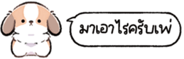 624883504