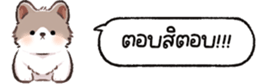624883508