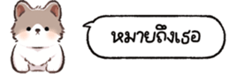 624883516