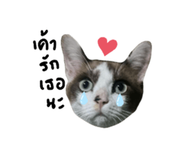624888471