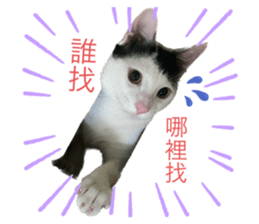 624897163