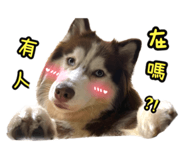 624931700