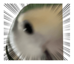624962887