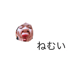 624968252