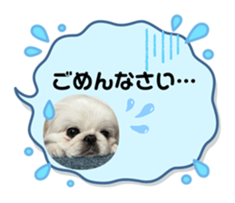624970515