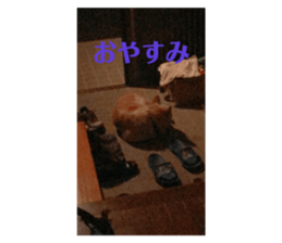 624975131