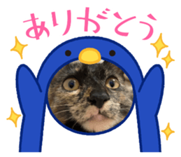 624994923