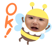 624996818