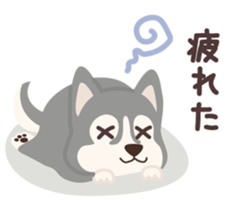 625103234