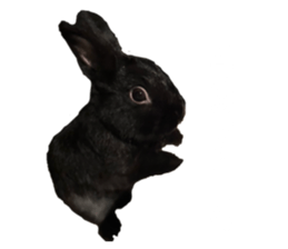 625114843