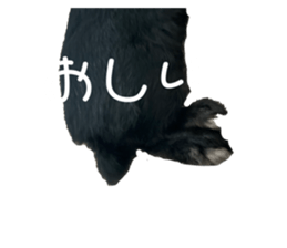 625114845