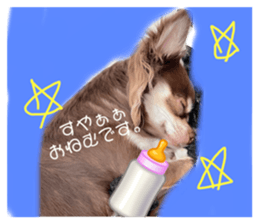 625125248