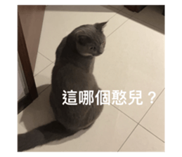 625126431