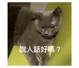 625126445