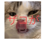 625126727