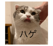 625126729