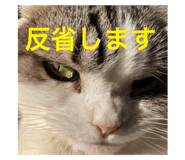 625126748
