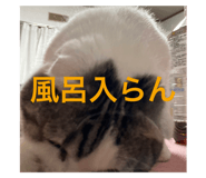 625126753