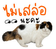 625130616