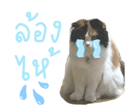 625130627