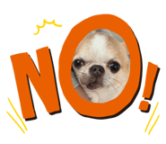 625156136