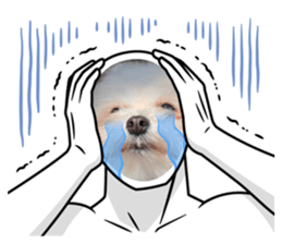 625156531