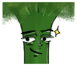 625161876