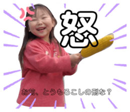 625198816