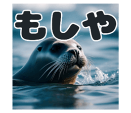 625204625