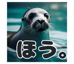 625204629
